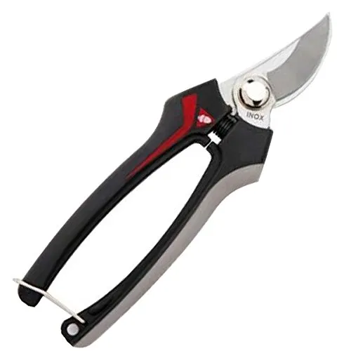 Bellota 3624 INOX-CE MB forbici raccolta 1,5x4,7 cm inox