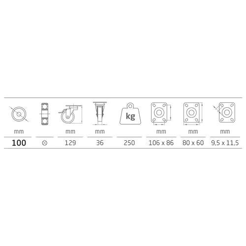 Amig Set 4 Ruote Ø 100 piastra con freno blu 250 kg