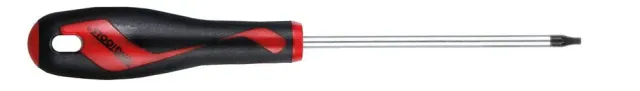 TengTools Cacciavite TPX TPX30 x 100 mm
