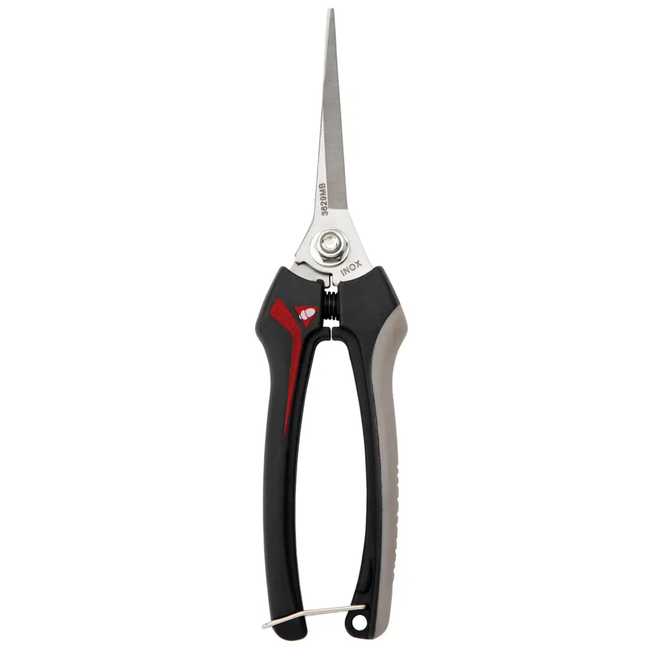 Bellota 3629 forbici raccolta frutta lame lunghe inox