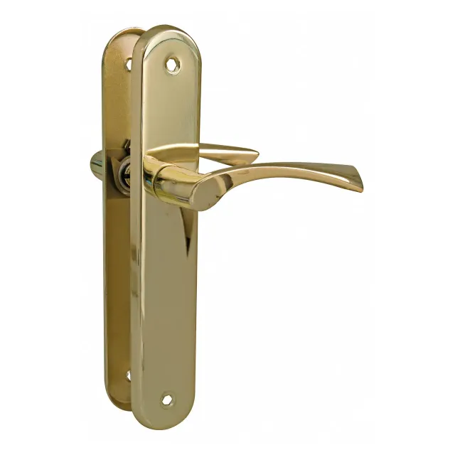 Amig maniglia placca ovale ottone set 2 pezzi