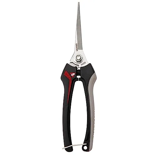Bellota 3629 forbici raccolta frutta lame lunghe inox