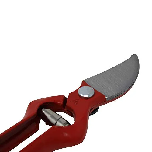 Bellota 3501-22 BL forbici potatura forgiate 220 mm 25 mm